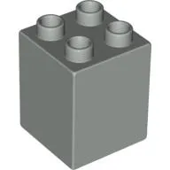 Duplo Brick 2 x 2 x 2
