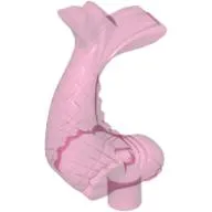 Animal, Fish, Ornamental