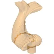 Animal, Fish, Ornamental