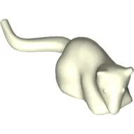 Animal, Rodent, Rat / Mouse [Plain]