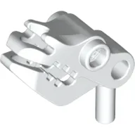 Animal Body Part, Skull, Cattle