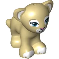 Animal, Big Cat Cub, Lion with Blue Eyes and Dark Pink Nose Print