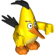 Animal, Bird, Chuck