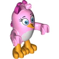 Animal, Bird, Stella