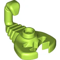 Animal, Scorpion