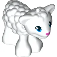 Animal, Sheep / Lamb with Blue Eyes and Dark Pink Nose Print