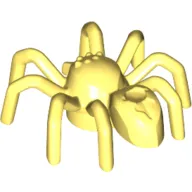 Insect, Spider with Elongated Tail Section