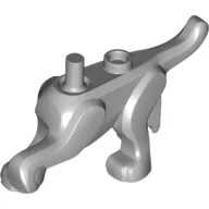 Animal Body Part, Dog Body