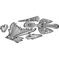 Skin Sheet 1 for Set 81003-1