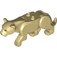 Animal, Big Cat, Leopard with 2 Studs, Brown Eyes Print