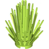 Plant, Bush 2 x 2 x 4
