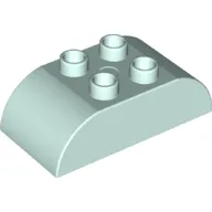 Duplo Brick 2 x 4 Curved Top