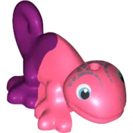 Animal, Chameleon with Magenta Back Print