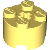 Brick Round 2 x 2 with Axle Hole