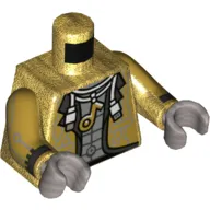 Torso Jacket, USB Cable, Necklace with Music Note Print, Pearl Gold Arms with Cuffs and Circuitry Print, Flat Silver Hands