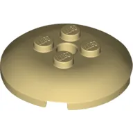 Dish 4 x 4 with 4 Studs