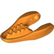 Animal Body Part, Dinosaur, Raptor / Dilophosaurus Lower Jaw [Plain]