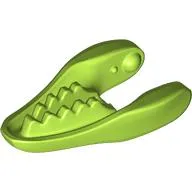 Animal Body Part, Dinosaur, Raptor / Dilophosaurus Lower Jaw [Plain]