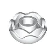 Plant, Flower, Peony Rose with 2 Layers