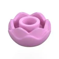 Plant, Flower, Peony Rose with 2 Layers