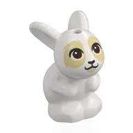 Animal, Rabbit / Bunny Sitting with Dark Brown Eyes, Tan Face print