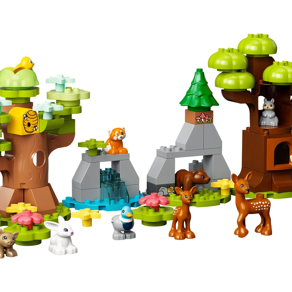 Wild Animals Of Europe