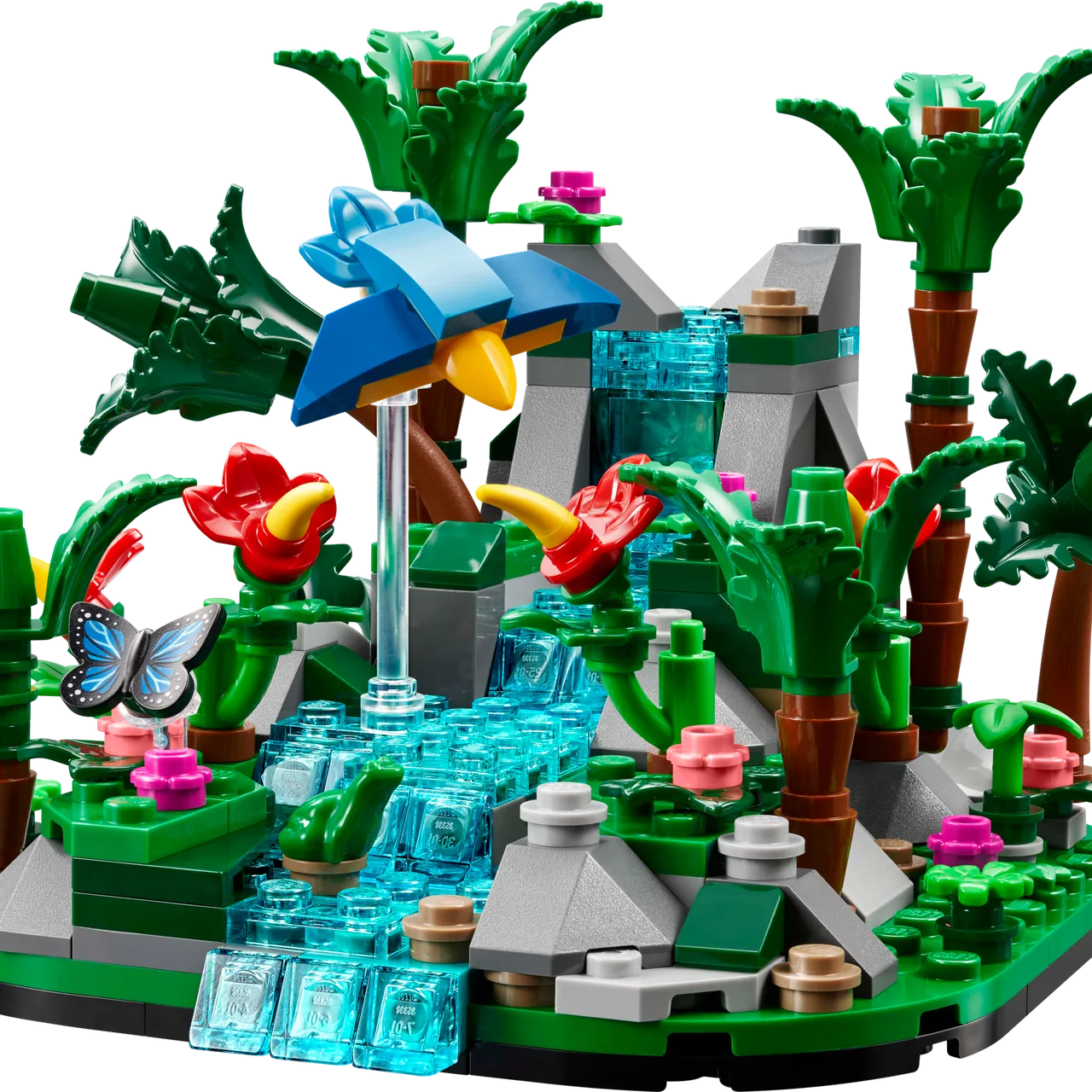 Tropical Rainforest Diorama