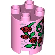 Duplo Brick Round 2 x 2 x 2 with Stylised Climbing Roses Print