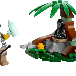 Baby Gorilla Encounter