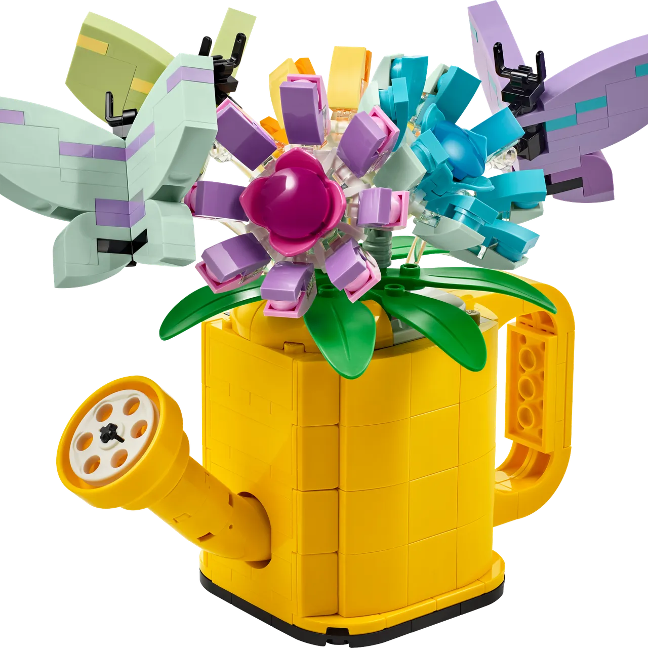 Flowers in Watering Can