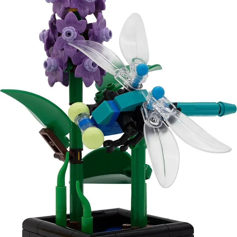 Dragonfly Garden