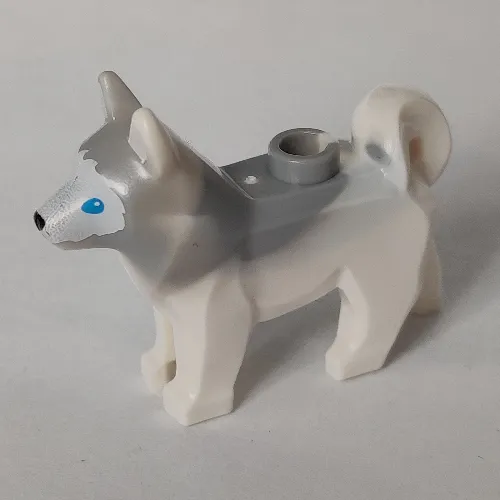 Animal, Dog, Husky with Blue Eyes, Black Nose Print and Marbled Light Bluish Gray Ears and Back Pattern