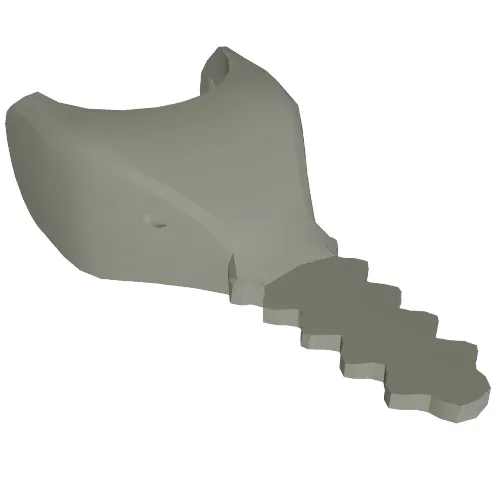 Animal Body Part, Shark / Sawfish Head