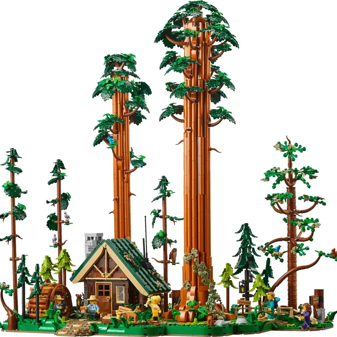 Sequoia Tree Trail