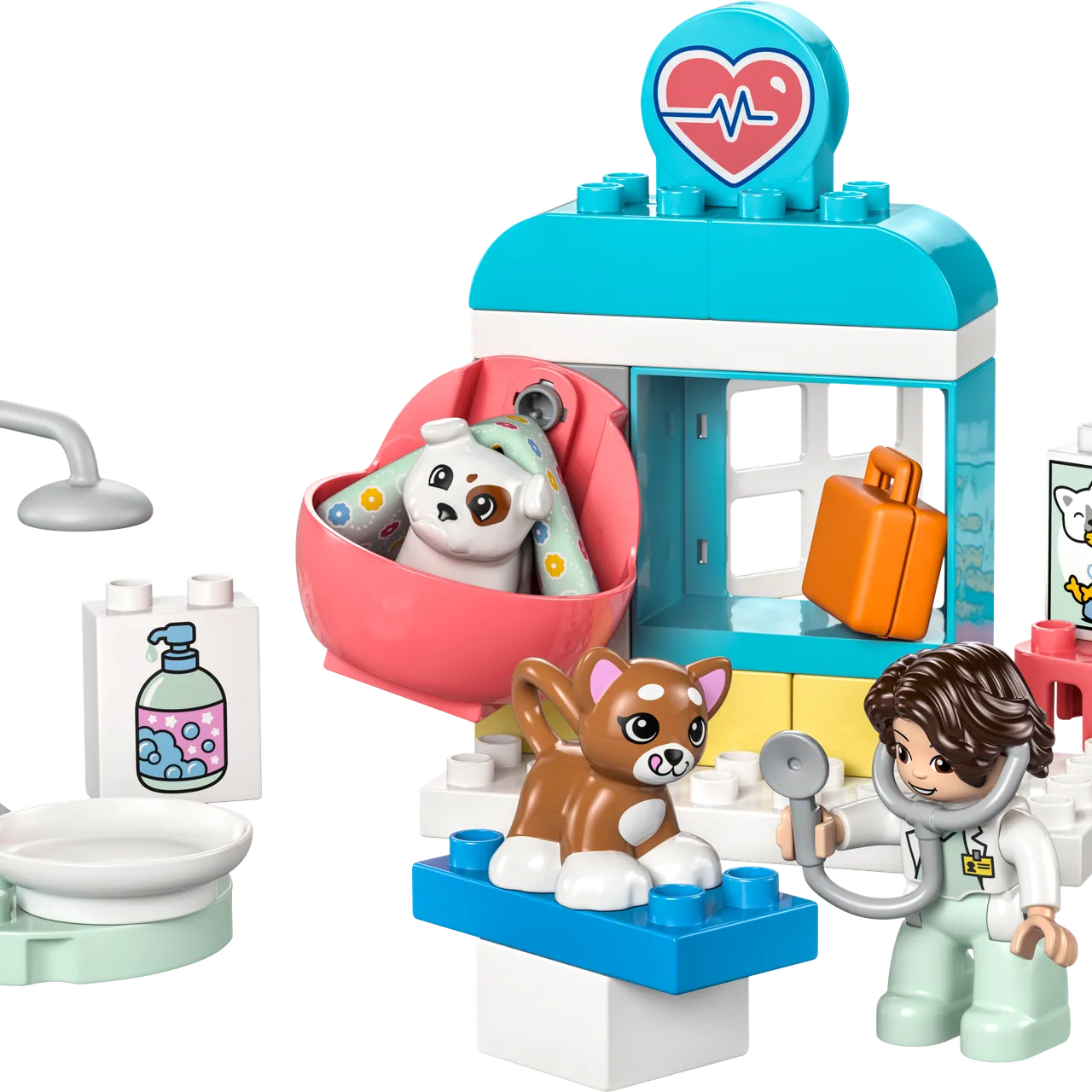 Visit to the Vet Clinic