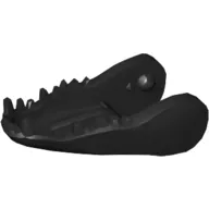 Animal Body Part, Dinosaur, Indoraptor Lower Jaw with Dark Tan Teeth