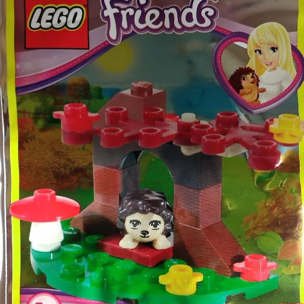 Hedgehog In The Woods