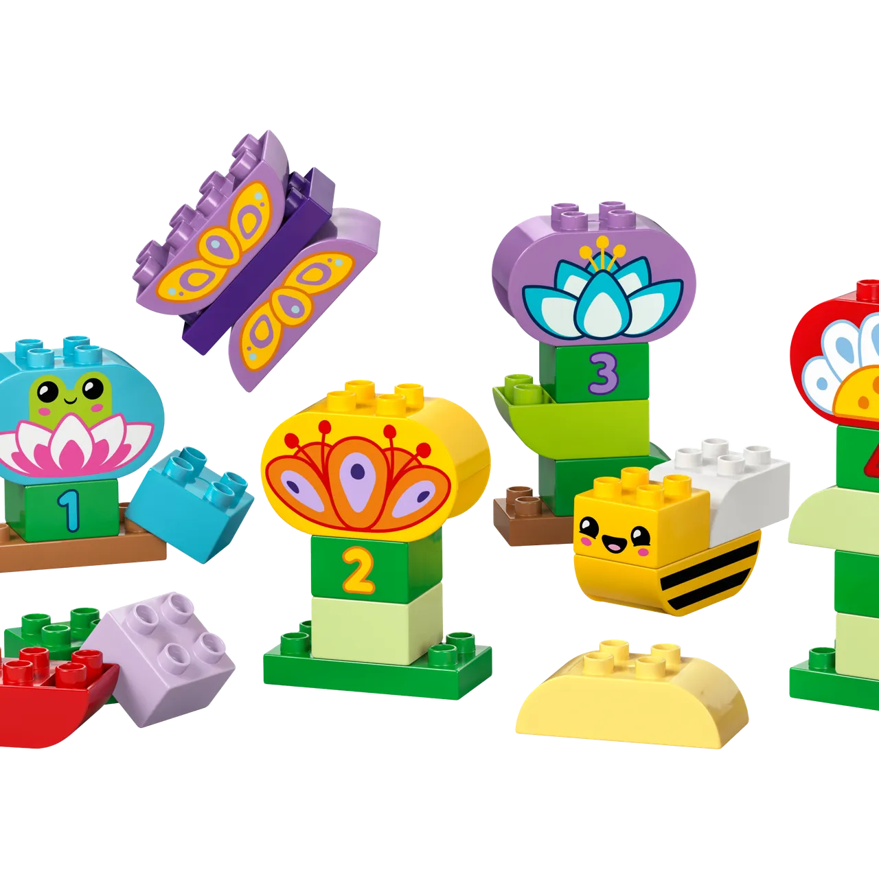 Creative Garden & Flowers