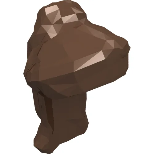 Hair Long and Half Braided