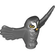 Animal, Bird, Owl Small with Open Wings, Bright Light Orange Eyes, Beak, White Face, Feathers print