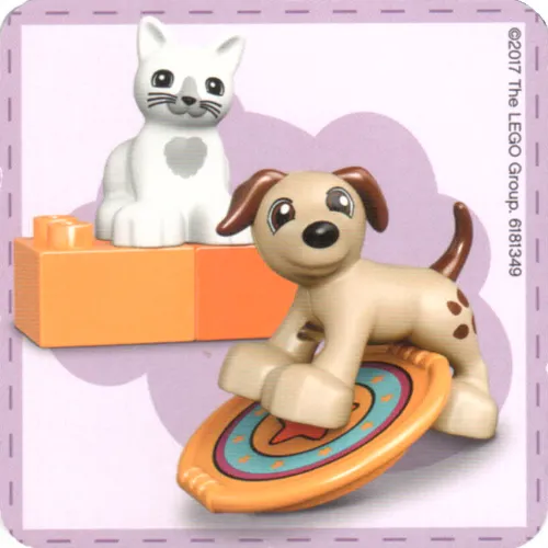 Find a Pair Card from Set 40267-1