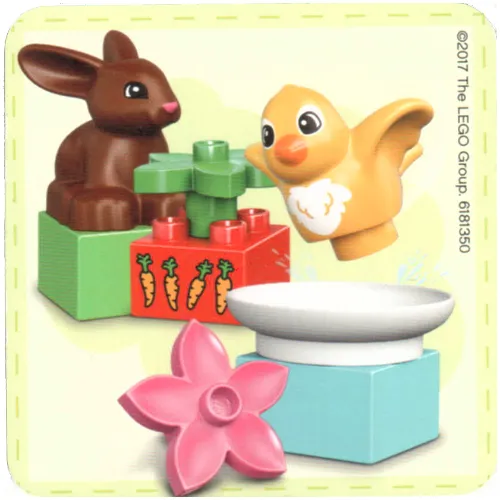 Find a Pair Card from Set 40267-1