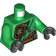 Torso Robe with Belt, Knife, Scabbard and Gold Dragon Head Emblem Print, Green Arms, Black Hands