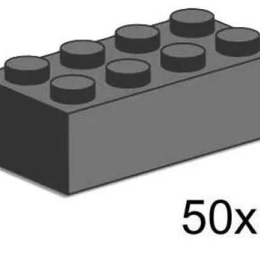 2 x 4 Dark Gray Bricks