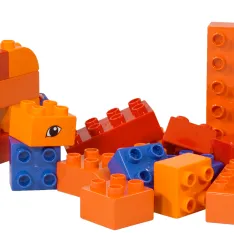 Funny Lion (Explore)