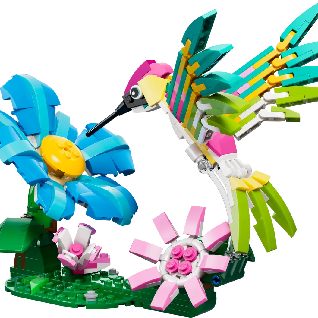 Wild Animals: Colorful Hummingbird