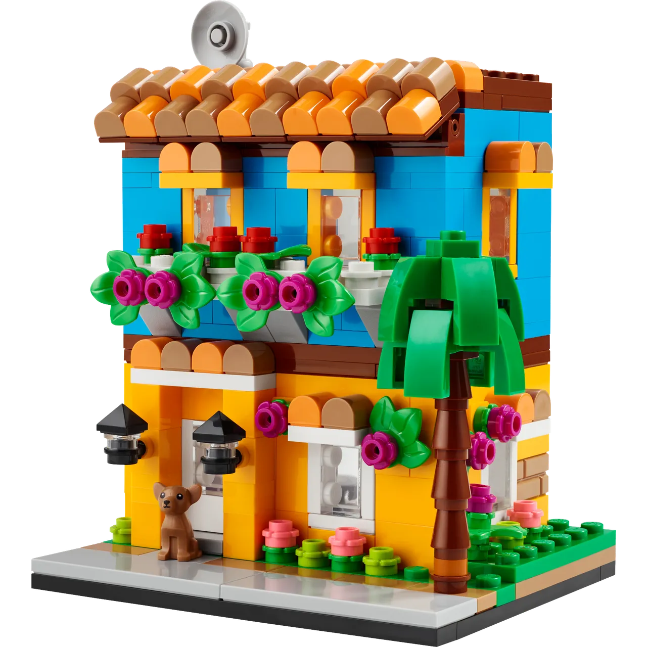 Houses of the World 1