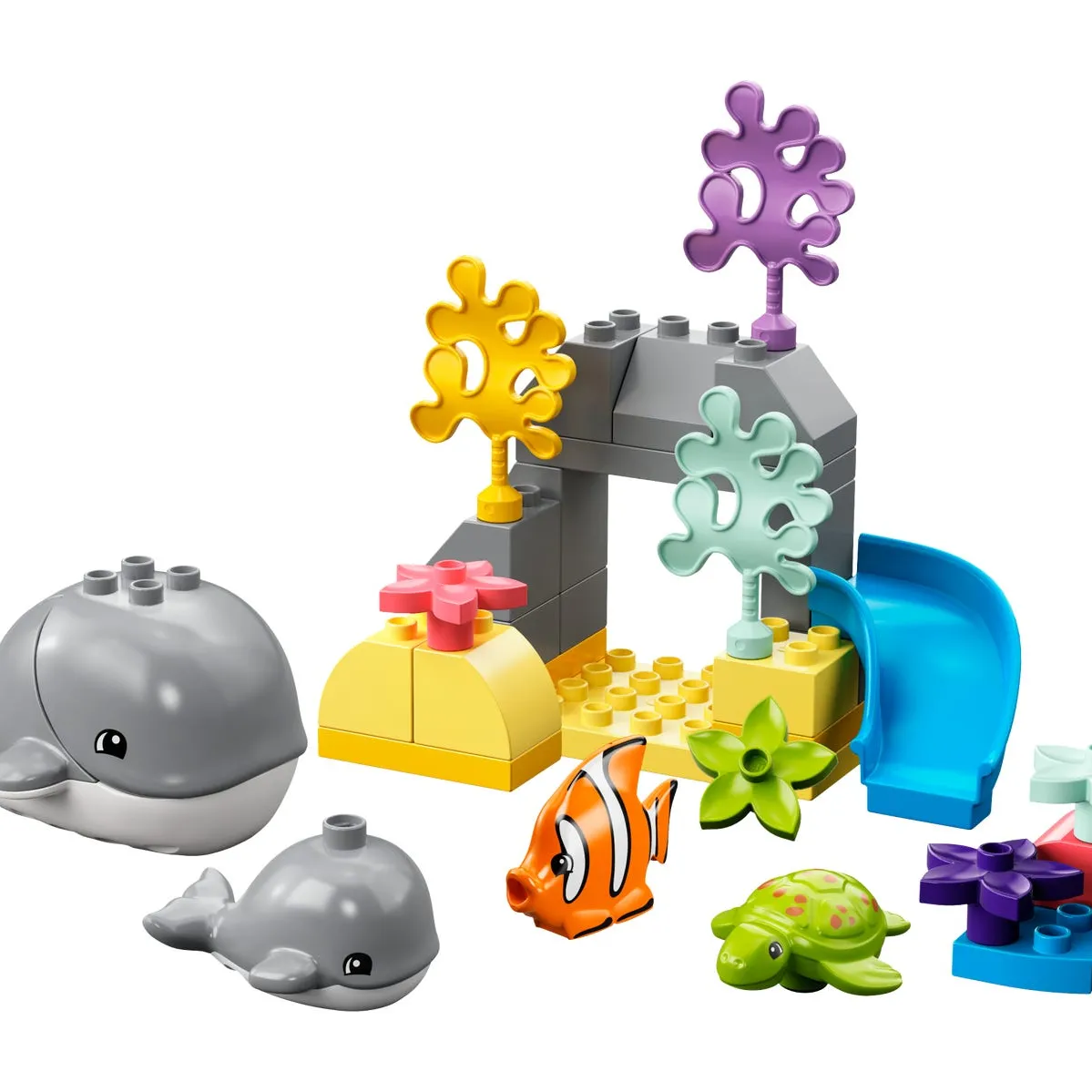 Wild Animals of the Ocean