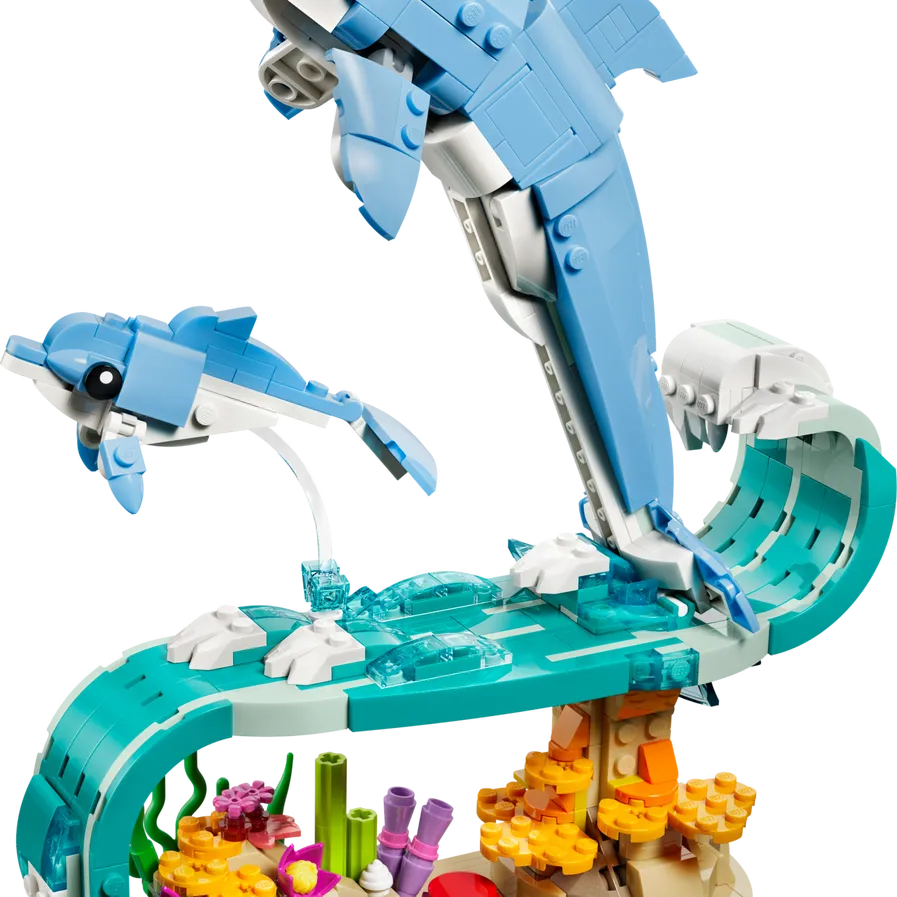 Sea Animals: Beautiful Dolphins