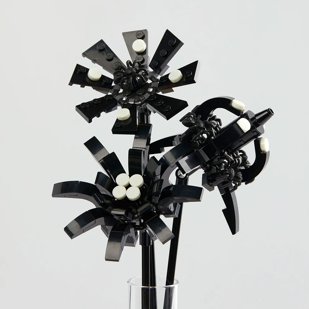 Black Spiders Flower Pack